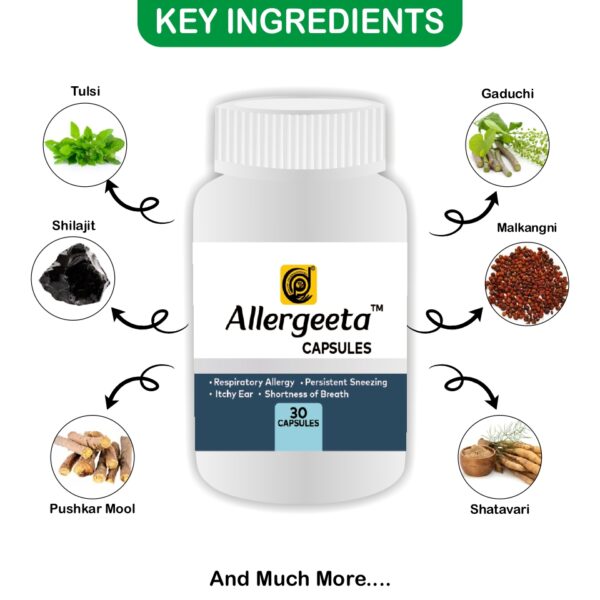 Allergeeta Kit- Herbal Relief for Allergies - Image 5