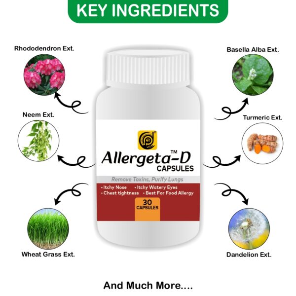 Allergeeta Kit- Herbal Relief for Allergies - Image 4